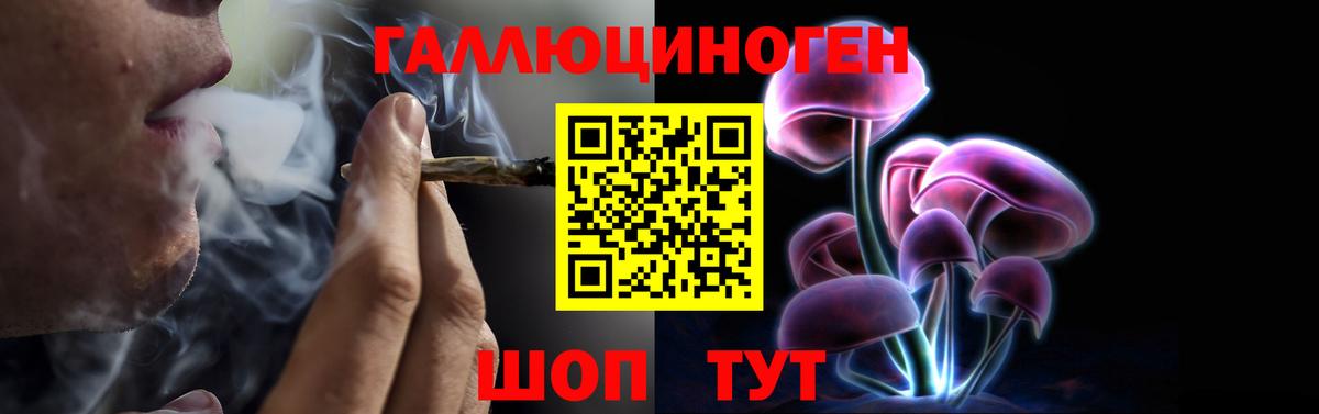 где можно купить   Вход с VPN  Галлюциногенные грибы GOLDEN TEACHER  Севастополь  Псилоцибиновые грибы мицелий 